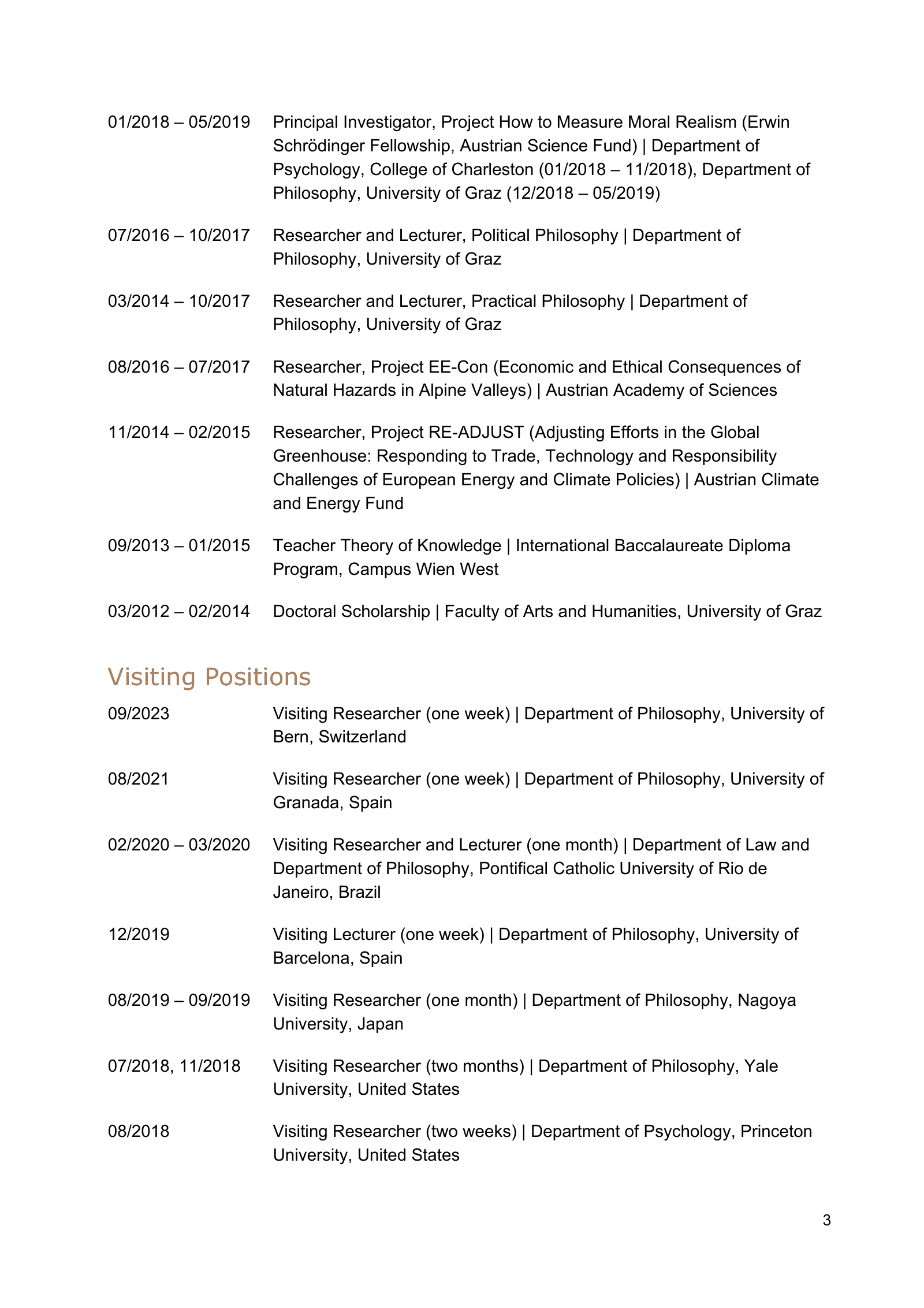 Curriculum vitae of Thomas Pölzler, page 3 of 25